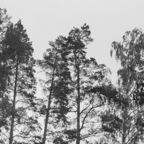 Råkall : Svenskt Vemod (Hypothermia Cover)